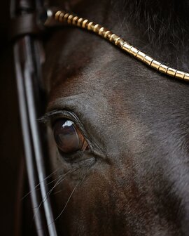 STOCK SALE Finesse Cassidy Weymouth Black/Gold COB 