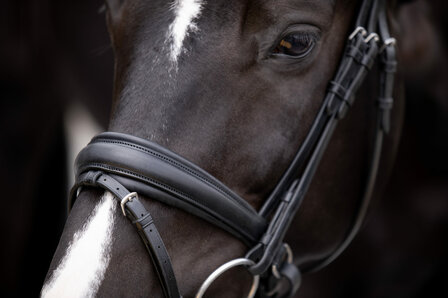 Uniq Black Noseband Elegant Snaffle